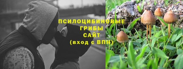 трава Снежинск