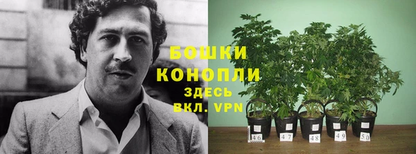 трава Снежинск