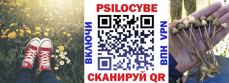 Псилоцибиновые грибы Psilocybine cubensis  Кызыл 