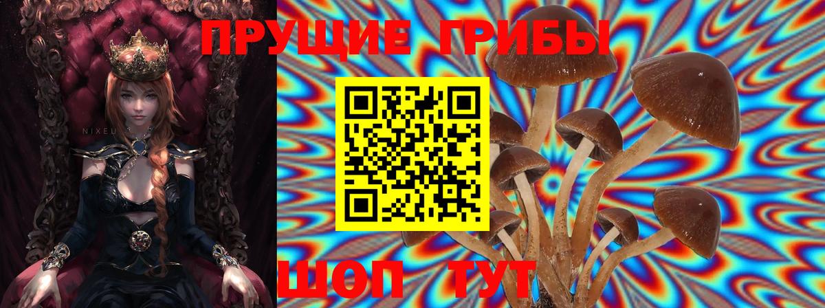 Кызыл  Псилоцибиновые грибы GOLDEN TEACHER  Вход с VPN  Псилоцибиновые грибы MAGIC MUSHROOMS 