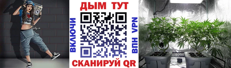где продают   hydra   Бошки марихуана гибрид  Кызыл 