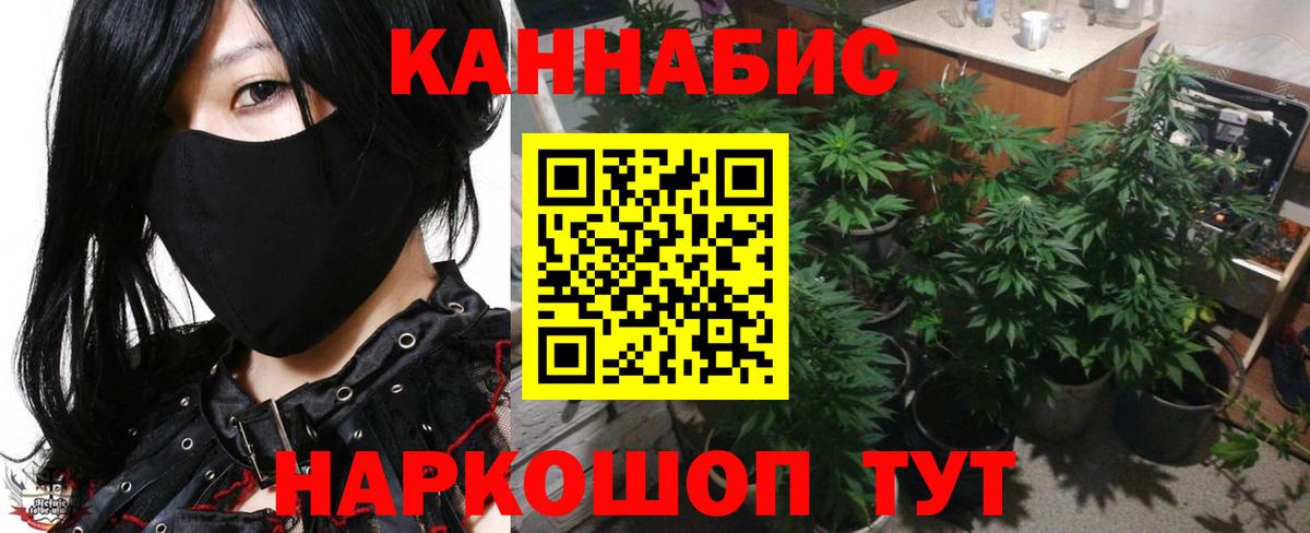 МАРИХУАНА план Кызыл